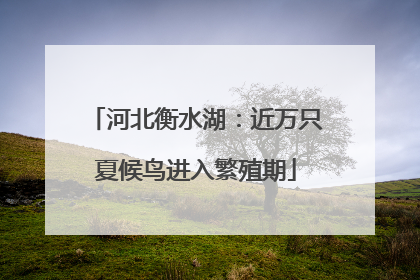 河北衡水湖：近万只夏候鸟进入繁殖期